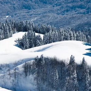 中国美女裸体㊙️视频
