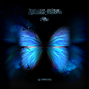 中国美女裸体㊙️视频
